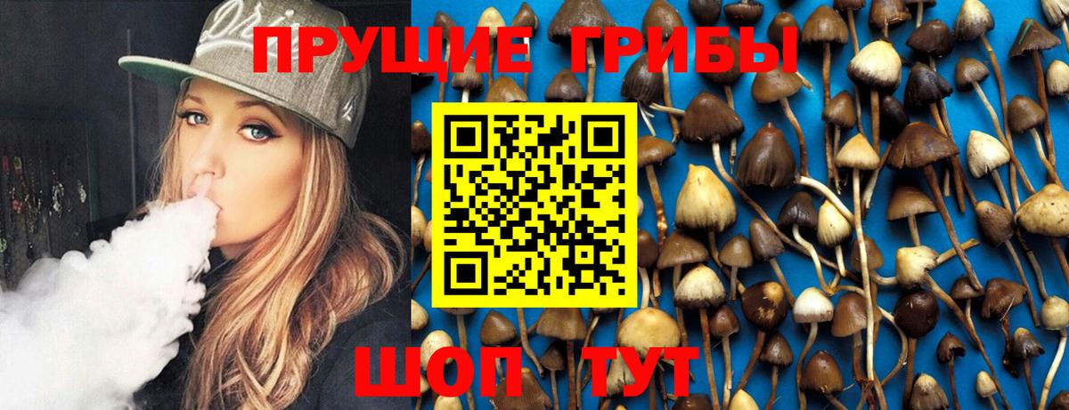 Сунжа  Галлюциногенные грибы ЛСД  Вход с VPN 